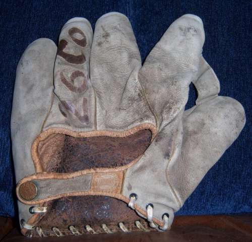 Spalding Minor League 1 Inch Web Back